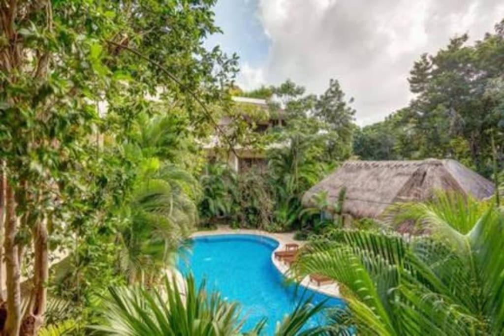 Condo Complex With An Alluring Pool & Tropical Vibes By Stella Rentals! Tulum Exterior photo